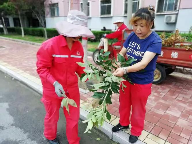濱南服務(wù)部時新春服務(wù)班 病蟲害防治不松懈，綠色守護(hù)在行動