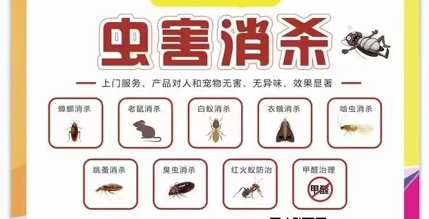 探討深圳滅蟲公司上門除衣蛾怎么收費(fèi)?衣蛾怎么除?