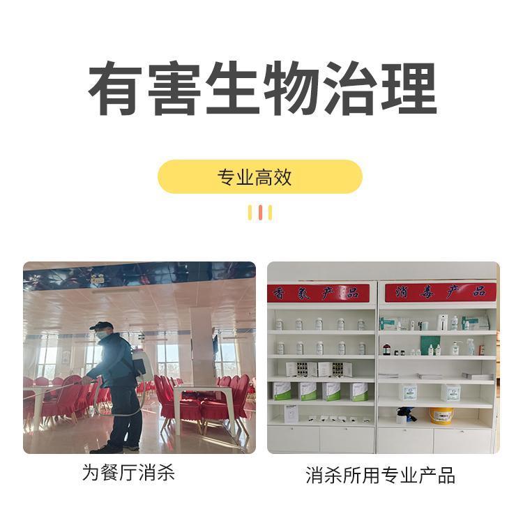滅蟑螂 滅鼠 上門除四害 消殺服務(wù) 生活區(qū)除蟲害施工
